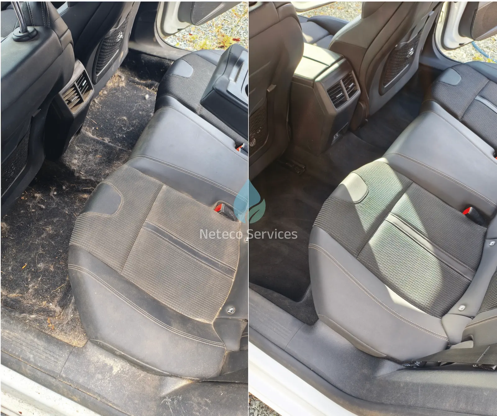 Nettoyage intérieur de l’arrière d’un véhicule avec poils de chien